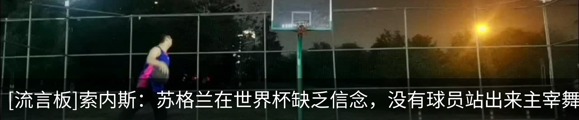 新闻动态